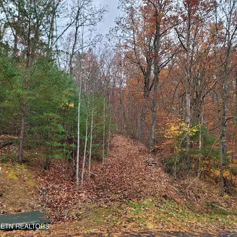Chamberlain Lane, Sevierville, TN 37862 photo 2