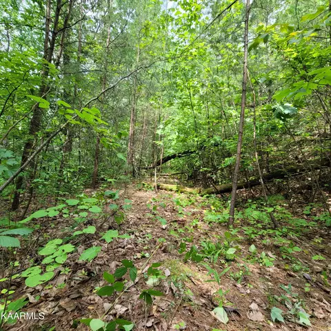 Chamberlain Lane, Sevierville, TN 37862 photo 23