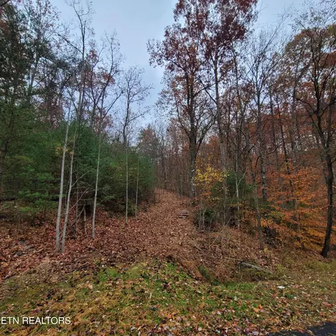 Chamberlain Lane, Sevierville, TN 37862 photo 5