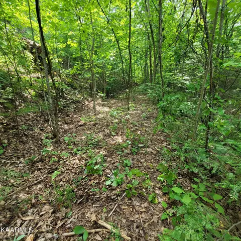 Chamberlain Lane, Sevierville, TN 37862 photo 27