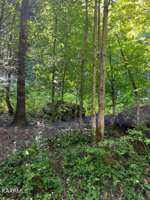 Big Four Rd Tract 2, La Follette, TN 37766