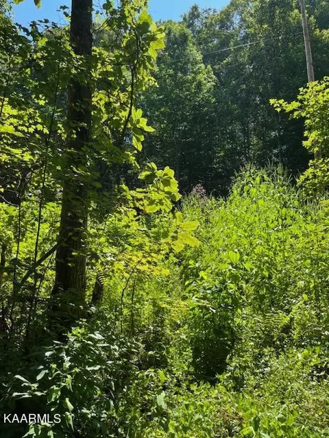 Big Four Rd Tract 3, La Follette, TN 37766