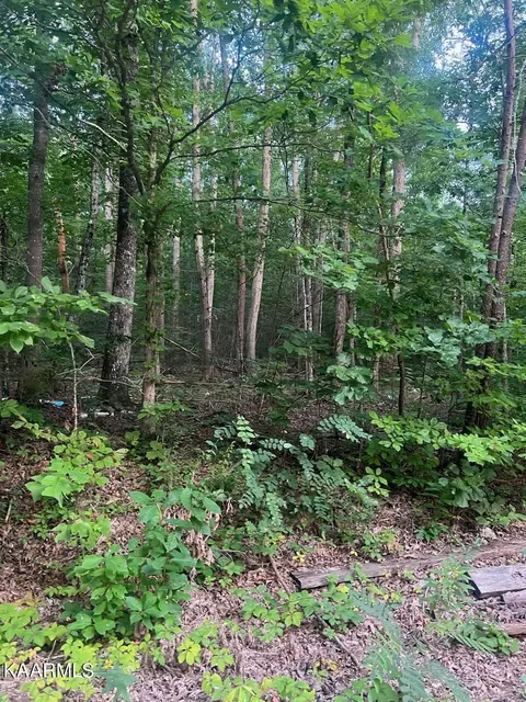 Trail Way, Newport, TN 37821