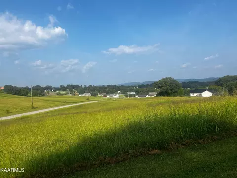 Chippewa Lane, Rutledge, TN 37861 photo 2