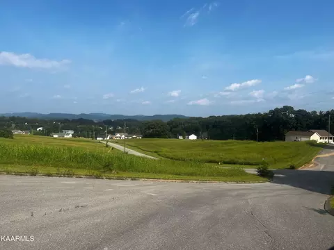 Chippewa Lane, Rutledge, TN 37861 photo 3