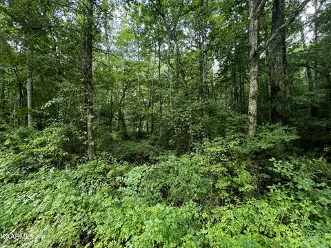 Dogwood Valley Rd, Kingston, TN 37763