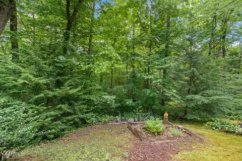 411 Laurel Rd, Townsend, TN 37882 photo 9