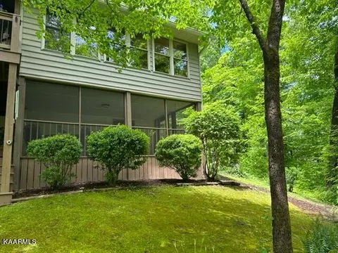 411 Laurel Rd, Townsend, TN 37882 photo 24