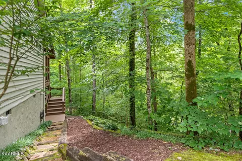 411 Laurel Rd, Townsend, TN 37882 photo 43