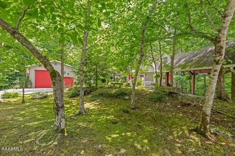 411 Laurel Rd, Townsend, TN 37882 photo 5