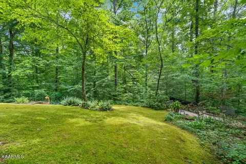 411 Laurel Rd, Townsend, TN 37882 photo 11