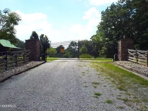Tract 7 George Drive, Deer Lodge, TN 37726
