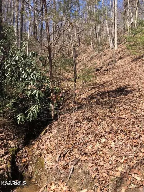 lot18 Alpine Dr, Sevierville, TN 37876