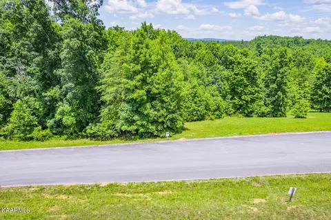 481 Hidden Forest Tr, Spring City, TN 37381