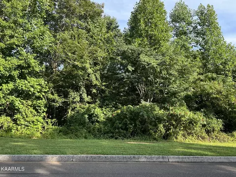 84 Falcon Trail, Vonore, TN 37885