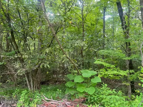Cardinal Drive, Newport, TN 37821
