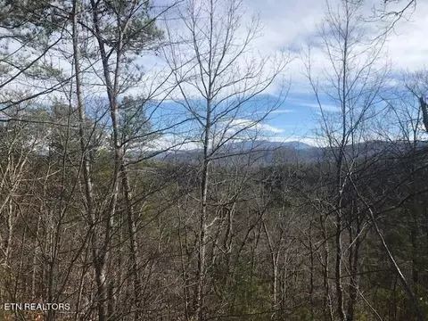18 Lightning Strike Dr, Sevierville, TN 37862