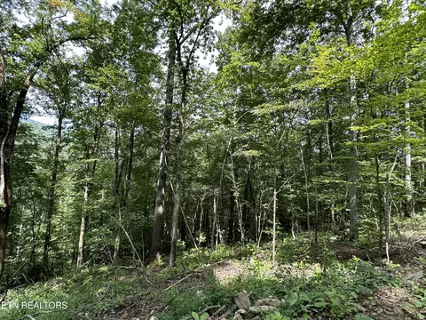 Newcomb-elk Valley Pike, Newcomb, TN 37819