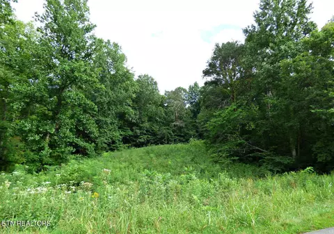 Lot 2 Dumplin Loop Rd, New Market, TN 37820