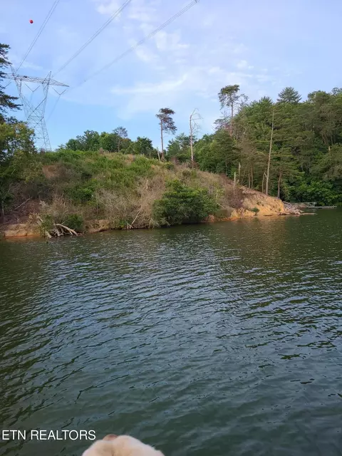Old James Ferry Rd, Kingston, TN 37763