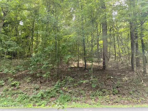 N Sequoyah Drive, Friendsville, TN 37737
