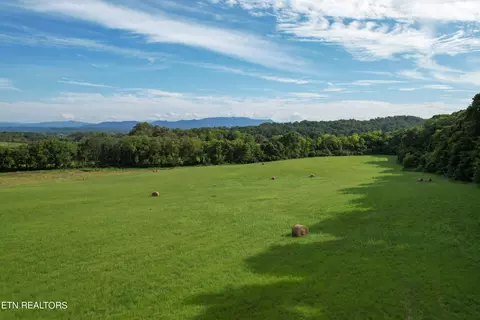 Lot 2 Cornfield Lane, White Pine, TN 37890