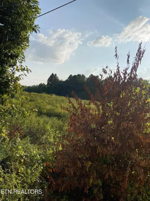 Coopertown/leatherwood Tract 5 Rd, Oneida, TN 37841