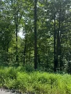 Sunset Dr, Sevierville, TN 37862