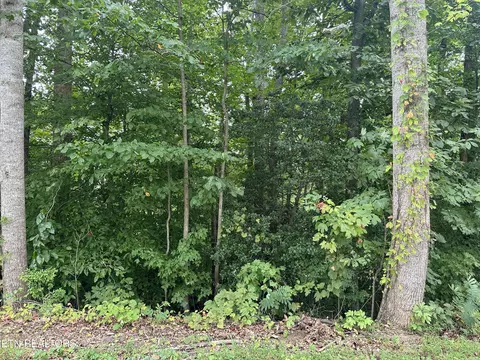 L32 Timberlake Circle, Jacksboro, TN 37757