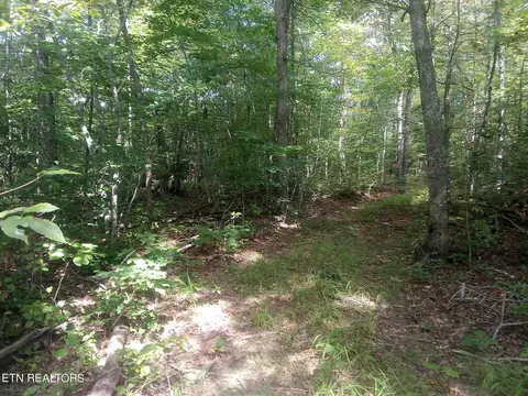 32 Austin Drive, Monterey, TN 38574
