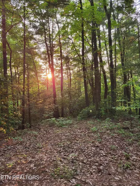 Bull Mtn Rd, Del Rio, TN 37727