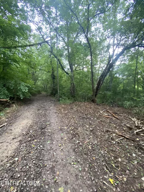 Norma Rd, Huntsville, TN 37756