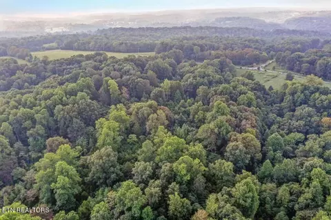 Tidwell Switch Rd, Dickson, TN 37055 photo 13