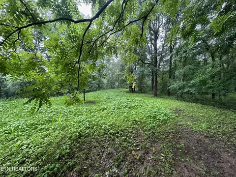 Tidwell Switch Rd, Dickson, TN 37055 photo 6