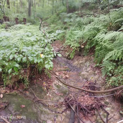Tidwell Switch Rd, Dickson, TN 37055 photo 7