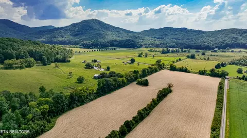 Tree Top Lane, Tellico Plains, TN 37385