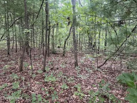 Ashford Drive, Crossville, TN 38572
