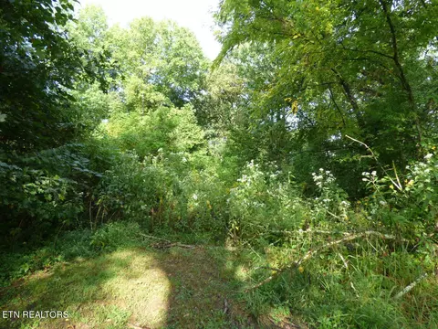 Lot 2 Hwy 11e, Strawberry Plains, TN 37871