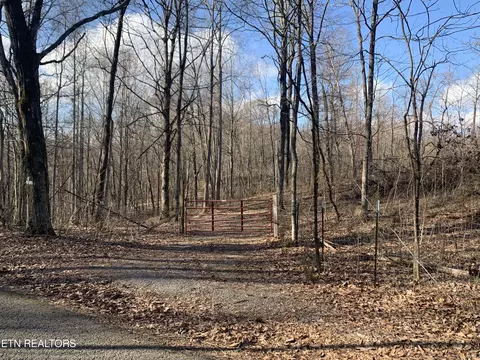 1803 Promiseland Rd, Blaine, TN 37709