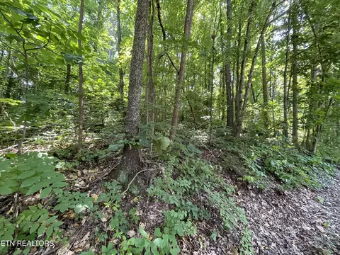 3316 Gumstand Dr, Powell, TN 37849