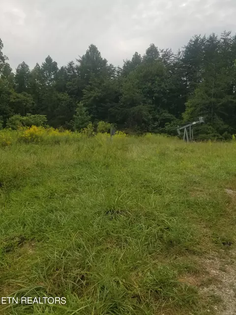 Deer Lodge Hwy, Deer Lodge, TN 37726