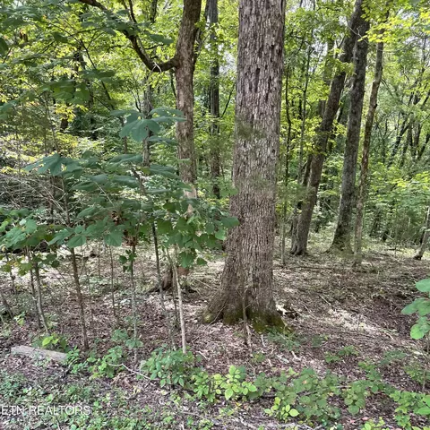 353 Dudala Way, Loudon, TN 37774