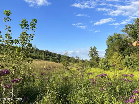 Dyer Hollow Rd, Mohawk, TN 37810 photo 2