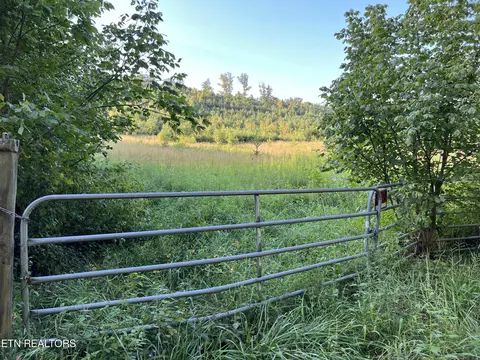 Dyer Hollow Rd, Mohawk, TN 37810 photo 3