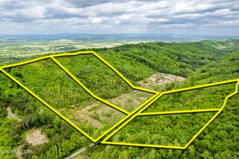 Dyer Hollow Rd, Mohawk, TN 37810 photo 5