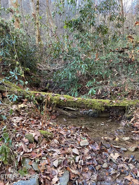 Lot 7 Black Walnut Flats Rd, Sevierville, TN 37862