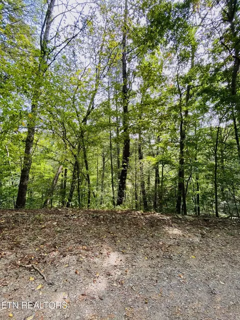 Lot 18 Meadow View Rd, Sevierville, TN 37862