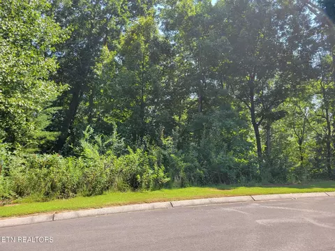 lot2 Sugar Maple Ct, Madisonville, TN 37354