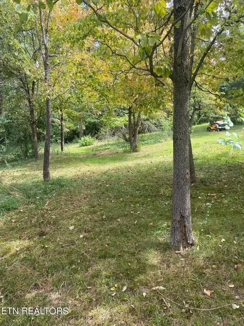 S Kingston Ave, Rockwood, TN 37854