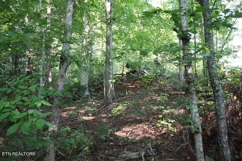 Rudd Hollow Rd, Townsend, TN 37882